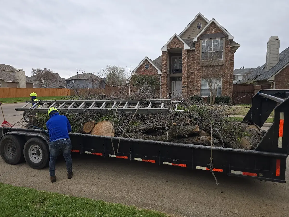 Expert Tree Pest Control with proper safety equipment in New Castle